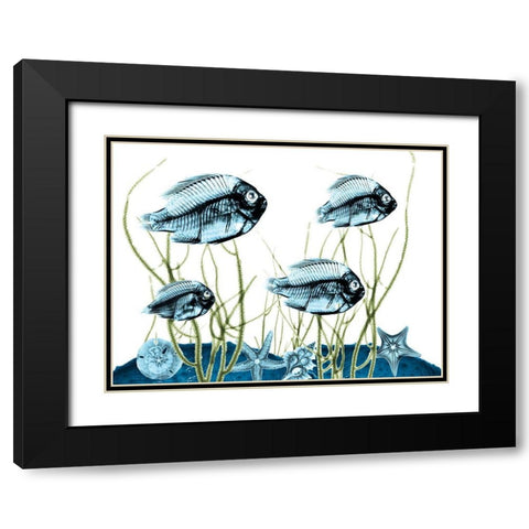 Aquatic Home 1 Black Modern Wood Framed Art Print with Double Matting by Koetsier, Albert