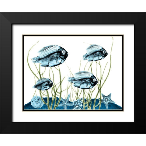 Aquatic Home 1 Black Modern Wood Framed Art Print with Double Matting by Koetsier, Albert