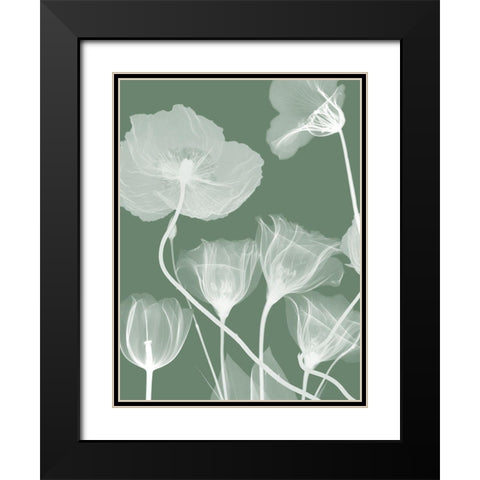 Emerald Flora 1 Black Modern Wood Framed Art Print with Double Matting by Koetsier, Albert