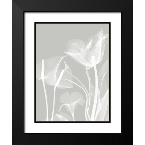 Gray Flora 1 Black Modern Wood Framed Art Print with Double Matting by Koetsier, Albert