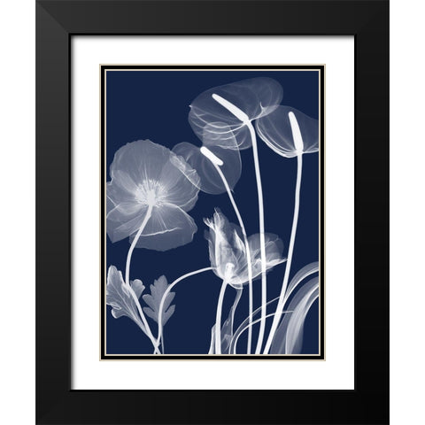 Navy Flora 1 Black Modern Wood Framed Art Print with Double Matting by Koetsier, Albert