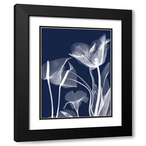 Navy Flora 2 Black Modern Wood Framed Art Print with Double Matting by Koetsier, Albert