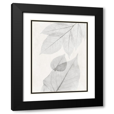 Distilled Botanicals 2 Black Modern Wood Framed Art Print with Double Matting by Koetsier, Albert