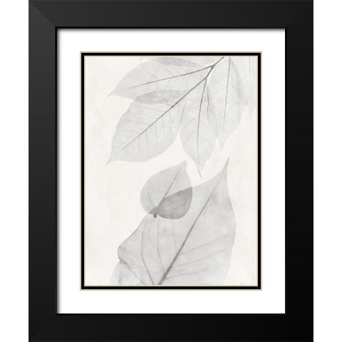 Distilled Botanicals 2 Black Modern Wood Framed Art Print with Double Matting by Koetsier, Albert