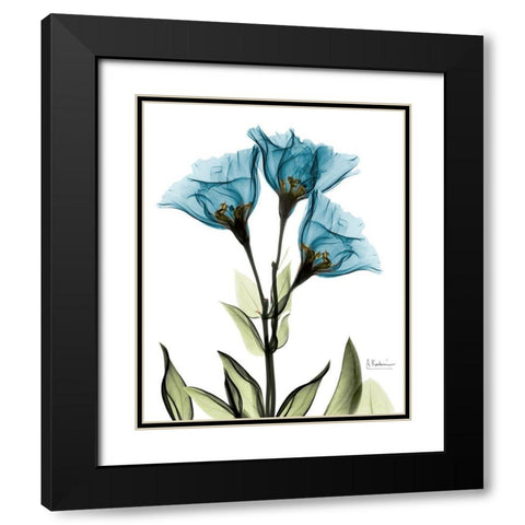 Gentian L301 Black Modern Wood Framed Art Print with Double Matting by Koetsier, Albert