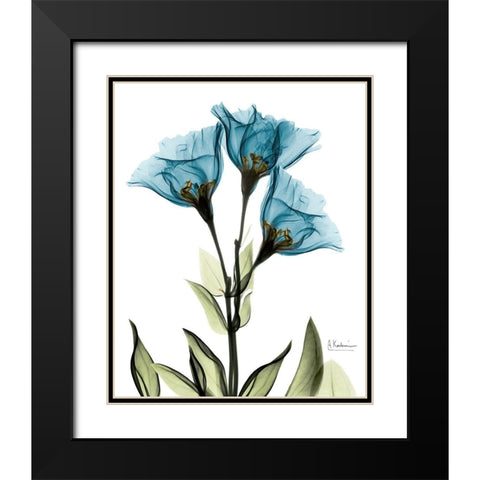 Gentian L301 Black Modern Wood Framed Art Print with Double Matting by Koetsier, Albert