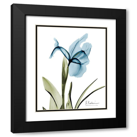 Iris B76 Black Modern Wood Framed Art Print with Double Matting by Koetsier, Albert