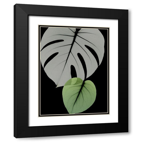 Botanical Embrace 1 Black Modern Wood Framed Art Print with Double Matting by Koetsier, Albert