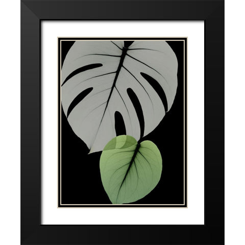 Botanical Embrace 1 Black Modern Wood Framed Art Print with Double Matting by Koetsier, Albert