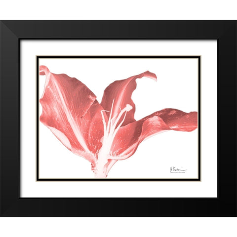 Coral Blossom 2 Black Modern Wood Framed Art Print with Double Matting by Koetsier, Albert