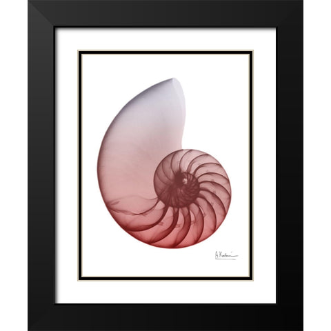 Coral Snail 4 Black Modern Wood Framed Art Print with Double Matting by Koetsier, Albert