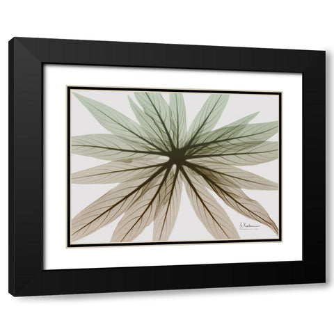 Earthy Echium Black Modern Wood Framed Art Print with Double Matting by Koetsier, Albert