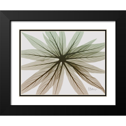 Earthy Echium Black Modern Wood Framed Art Print with Double Matting by Koetsier, Albert