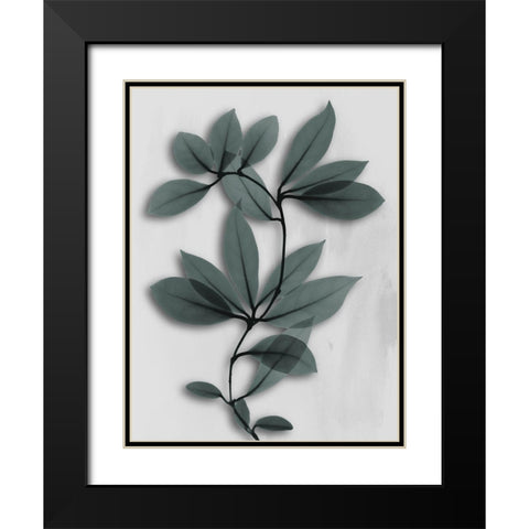 Silver Pine Wonder 1 Black Modern Wood Framed Art Print with Double Matting by Koetsier, Albert