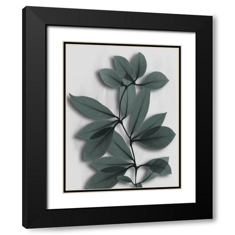 Silver Pine Wonder 2 Black Modern Wood Framed Art Print with Double Matting by Koetsier, Albert