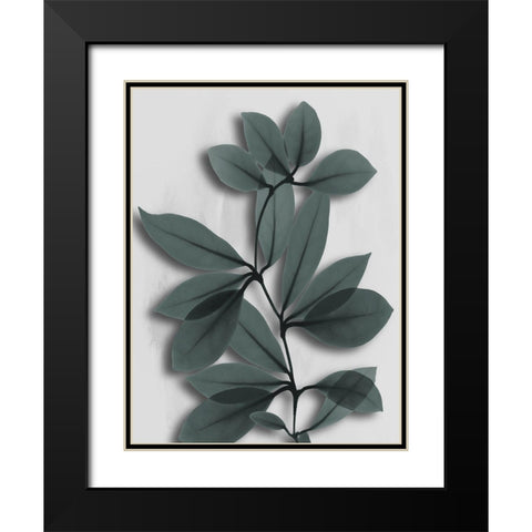 Silver Pine Wonder 2 Black Modern Wood Framed Art Print with Double Matting by Koetsier, Albert