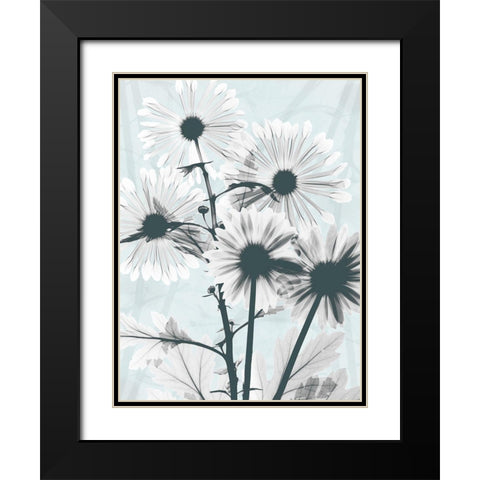 Gerbera Crystalis 1 Black Modern Wood Framed Art Print with Double Matting by Koetsier, Albert