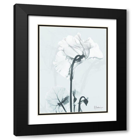 Desired Cyclamen 1 Black Modern Wood Framed Art Print with Double Matting by Koetsier, Albert