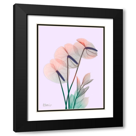 Flamingo Delight 3 Black Modern Wood Framed Art Print with Double Matting by Koetsier, Albert