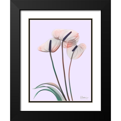 Flamingo Delight 4 Black Modern Wood Framed Art Print with Double Matting by Koetsier, Albert