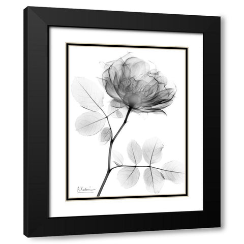 Rose Dynasty 1 Black Modern Wood Framed Art Print with Double Matting by Koetsier, Albert