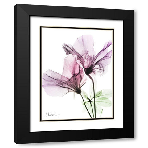 Splendid Beauty 2 Black Modern Wood Framed Art Print with Double Matting by Koetsier, Albert