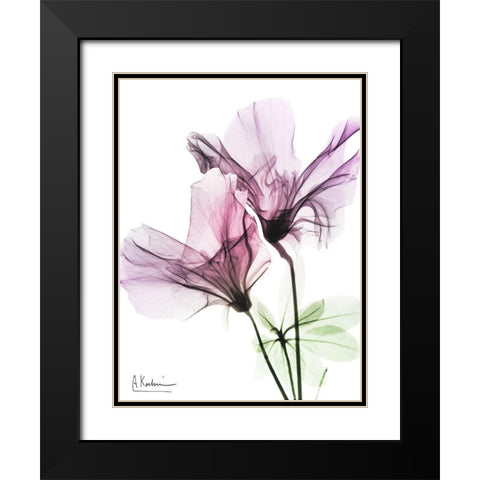 Splendid Beauty 2 Black Modern Wood Framed Art Print with Double Matting by Koetsier, Albert