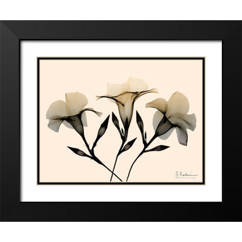 Mandelilla Dawn Black Modern Wood Framed Art Print with Double Matting by Koetsier, Albert