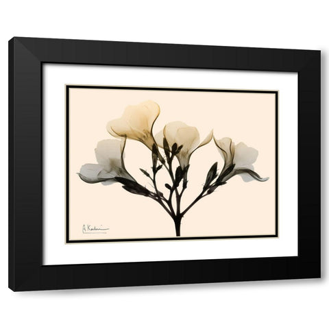 Oleander Dawn Black Modern Wood Framed Art Print with Double Matting by Koetsier, Albert