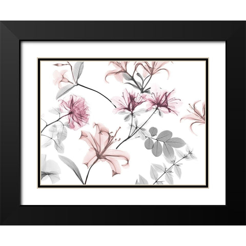 Sweet Bouquet 1 Black Modern Wood Framed Art Print with Double Matting by Koetsier, Albert