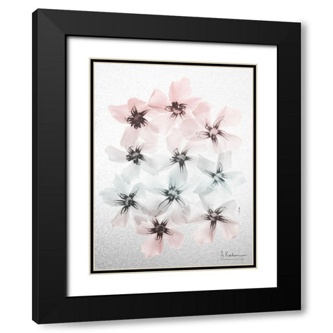 Oleander Fantasy 1 Black Modern Wood Framed Art Print with Double Matting by Koetsier, Albert