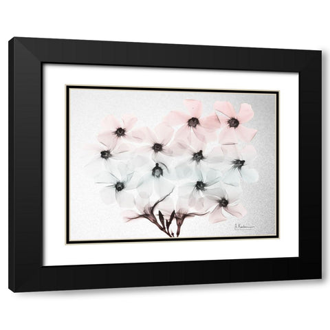 Oleander Fantasy 2 Black Modern Wood Framed Art Print with Double Matting by Koetsier, Albert