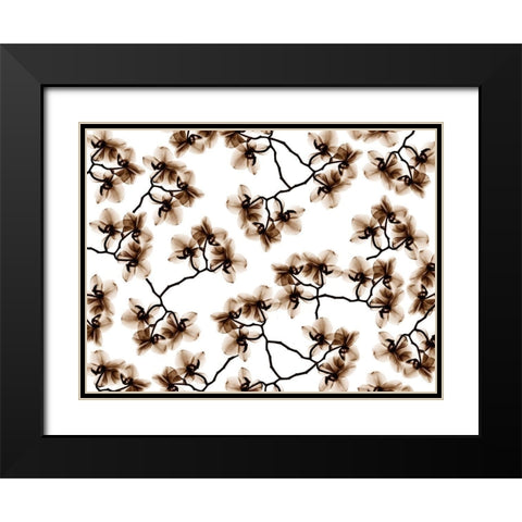 Peeking Beyond 1 Black Modern Wood Framed Art Print with Double Matting by Koetsier, Albert