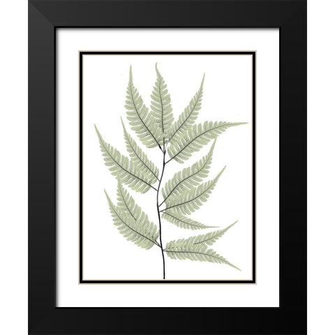 Fern Tree Black Modern Wood Framed Art Print with Double Matting by Koetsier, Albert