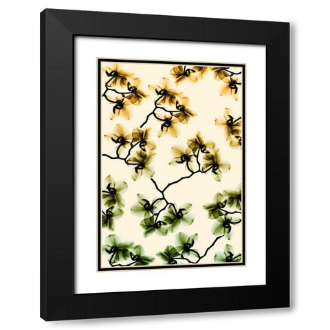 Peeking Foliage 3 Black Modern Wood Framed Art Print with Double Matting by Koetsier, Albert