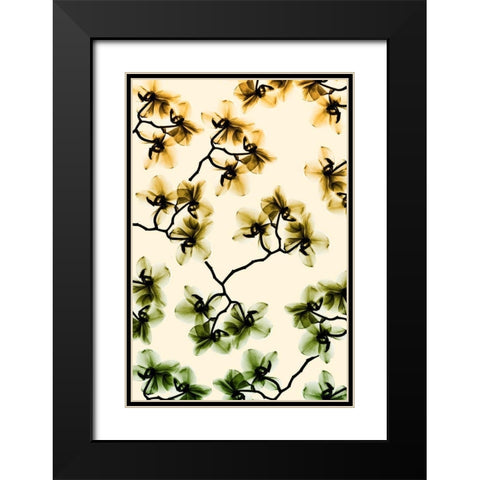 Peeking Foliage 3 Black Modern Wood Framed Art Print with Double Matting by Koetsier, Albert