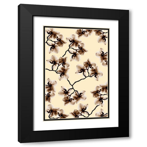 Peeking Foliage 1 Black Modern Wood Framed Art Print with Double Matting by Koetsier, Albert