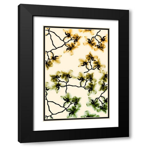 Peeking Foliage 4 Black Modern Wood Framed Art Print with Double Matting by Koetsier, Albert