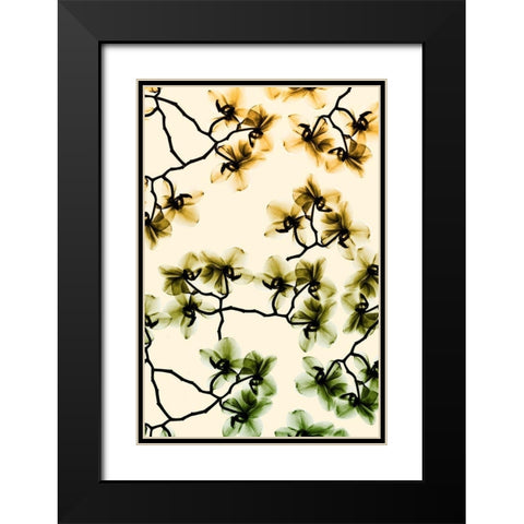 Peeking Foliage 4 Black Modern Wood Framed Art Print with Double Matting by Koetsier, Albert