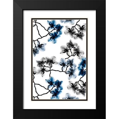 Peeking Foliage 6 Black Modern Wood Framed Art Print with Double Matting by Koetsier, Albert