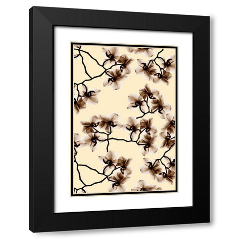 Peeking Foliage 2 Black Modern Wood Framed Art Print with Double Matting by Koetsier, Albert