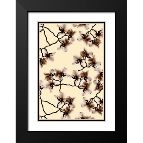 Peeking Foliage 2 Black Modern Wood Framed Art Print with Double Matting by Koetsier, Albert