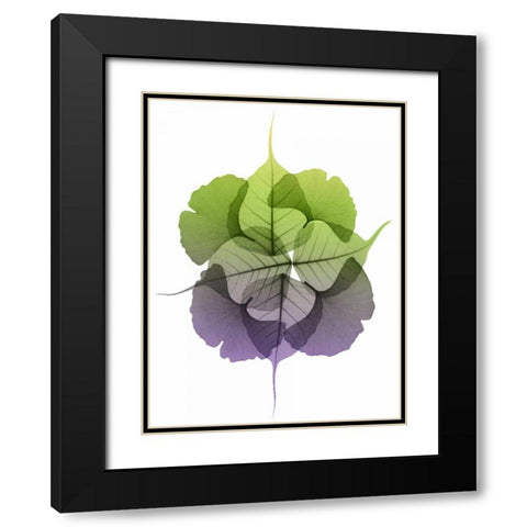 Kaleidoscope Sinko 2 Black Modern Wood Framed Art Print with Double Matting by Koetsier, Albert