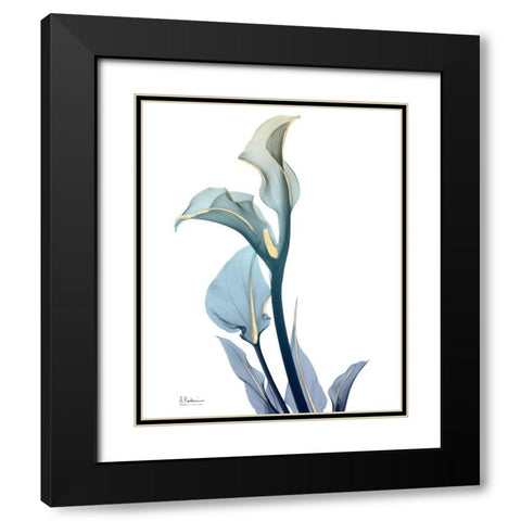 Gold Sprinkled Calla Lily Black Modern Wood Framed Art Print with Double Matting by Koetsier, Albert