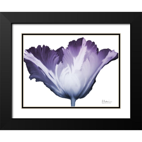 Radiant Blossom 1 Black Modern Wood Framed Art Print with Double Matting by Koetsier, Albert