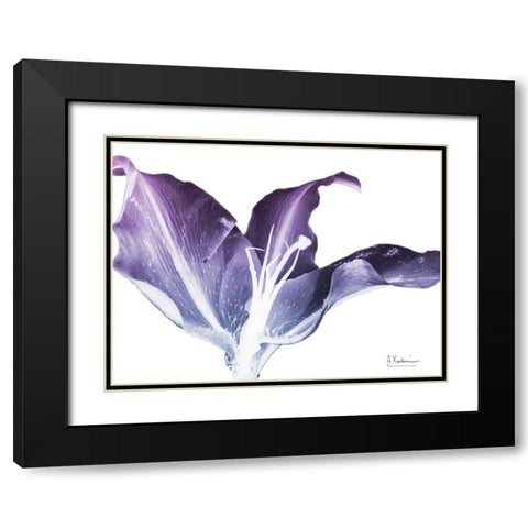 Radiant Blossom 2 Black Modern Wood Framed Art Print with Double Matting by Koetsier, Albert