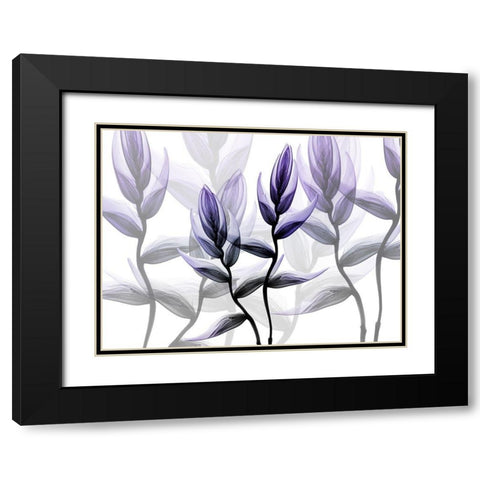 Lavender Heaven 1 Black Modern Wood Framed Art Print with Double Matting by Koetsier, Albert