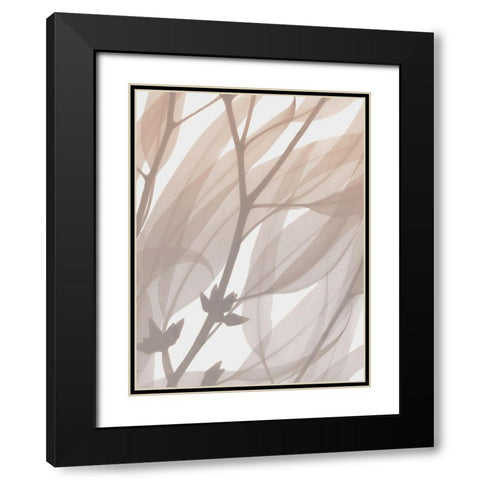 Desert Passion 1 Black Modern Wood Framed Art Print with Double Matting by Koetsier, Albert