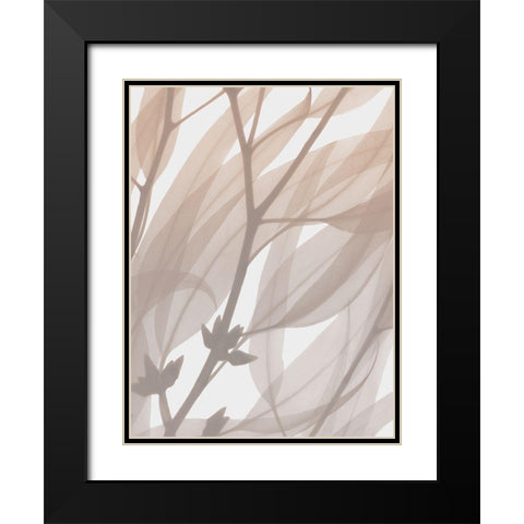 Desert Passion 1 Black Modern Wood Framed Art Print with Double Matting by Koetsier, Albert