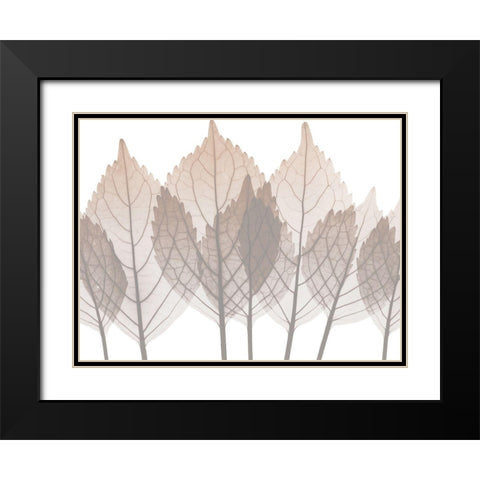 Desert Passion 2 Black Modern Wood Framed Art Print with Double Matting by Koetsier, Albert